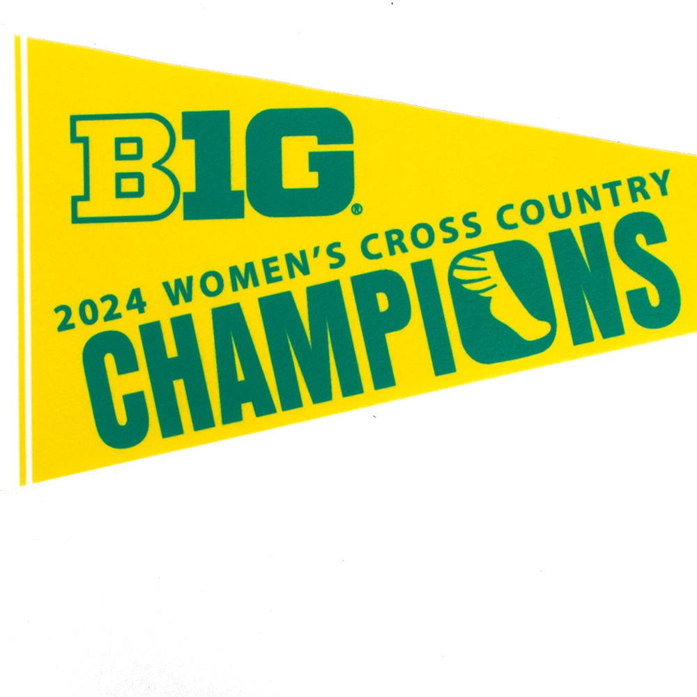 Big Ten Champs, Sewing Concepts, Green, Pennants, Home & Auto, 12"x30", Track & Field, 2024, Women's, Cross Country, Champions, 910802